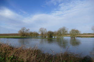 Themse bei Hochwasser