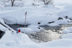 Es ist gar nicht so leicht einen Bach zu finden, der nicht zugefroren ist!