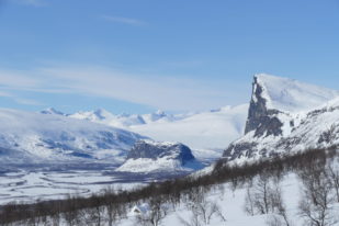 5D43AEA4-B31A-44A3-8D3A-2DE0B265BB9A