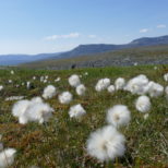 5C54A1AC-C7E9-4054-B182-F60947711264