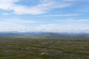 86CD5E4B-C1B0-4B87-B1D7-35BA683A4BE3