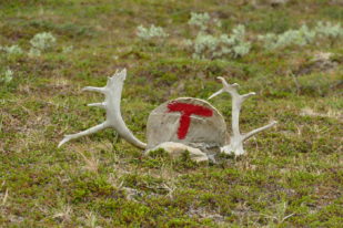 8A1CDB8F-1062-4BCA-AA98-56E76FDD66EA