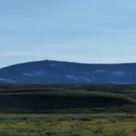 9E9D126C-E932-4C59-ACBC-8D4F4D51DD8F