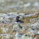 DBFD1673-F1D3-4816-B5BE-1192F8682F37