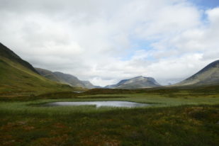 0DB3E578-6C8F-4185-BF4F-165E50AA8B1B