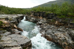 0FC4DDF7-3DF6-4195-9ACC-B33099AC8350