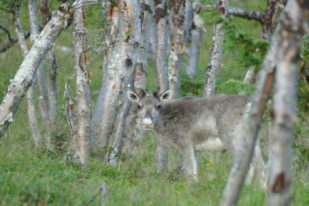 159D001F-0366-40DC-9D80-179120C9CAFB