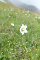 198940A7-09E7-4799-9A09-387C1C53648A