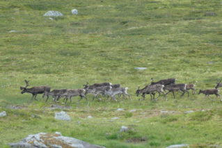 61399429-6EF6-4441-A6DA-2A59889BFD38