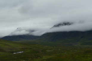 707E0143-5D4E-47C7-92E4-C4BB9D1A1B08