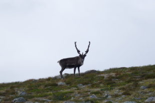 8773EB1C-BE12-4BE6-836B-F796A6E8B4ED