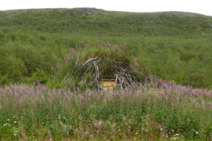 A5963084-85DF-4231-A271-4AC05384BEB7