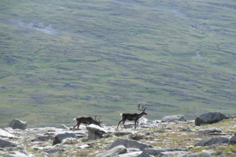 B1FBABBF-82D3-466F-9884-25A297077CF5