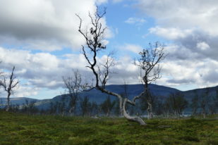 B2E03BDF-93ED-4578-BB09-6EC2CF76BBBB