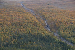 06A49153-D7F7-433D-BA5F-C156007C298D