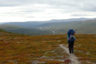 0C937D02-5EF0-4ABC-BC5C-623925BF001A