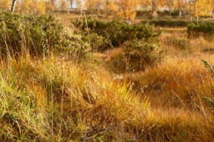 114EF252-0E40-45E1-B696-A01CFEACBFA8