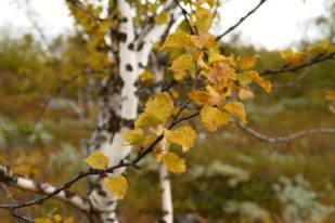 11C81229-BE35-4ACA-88E1-9EB67AEF7E2F