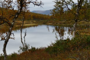 39039E54-1DD5-47FC-8C93-BB4F2800136F