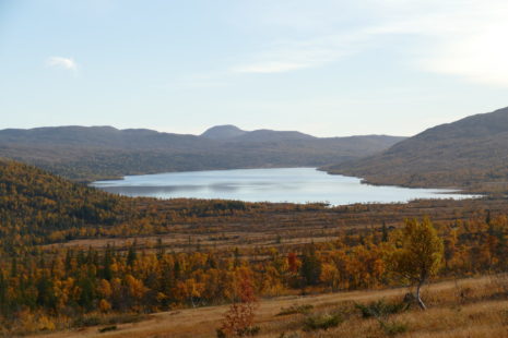 482DB295-41B3-40F9-8992-3B1954C313C1