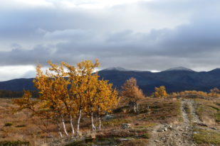 86169444-026C-40E8-96BB-E394D4538DA0