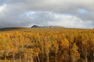 C48EED79-6F32-493A-9B71-C8443310E00E