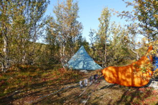 D284239E-6DF3-4FC3-AD6D-FC864E040DF0