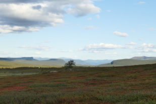 DBB5CB86-F1F5-457C-A7F0-DEA61D5B6BE3