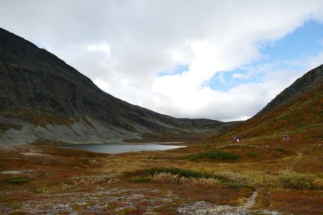 DE9D67C9-1AE7-47F3-A76A-B62D63DBD522