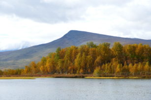 EBB1C8C6-746F-47FC-837C-EC1F02CBAB3C