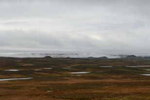 EDC043CA-61AE-49DC-9F1A-D67C59E99A62