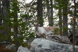 F0D3FC31-B046-4F35-B469-CF97B4D496EF