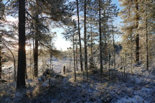 1FBAF486-84B3-48EE-9A42-DEC3AA880554