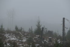 90550DC5-5BEE-4158-A334-9909E81124CC