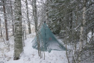 D07C409F-35FE-4EBB-B8EE-8582E3303CE8