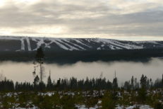 D28B2E9B-B79C-4FE6-8F75-8ADC6A903042