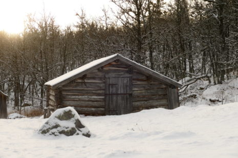 E0F812A5-4B96-4DE2-932B-7D17F0115090